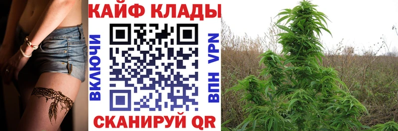Все наркотики Новосибирск КОКАИН  A PVP  Меф мяу мяу  ГАШИШ  Амфетамин  МАРИХУАНА 