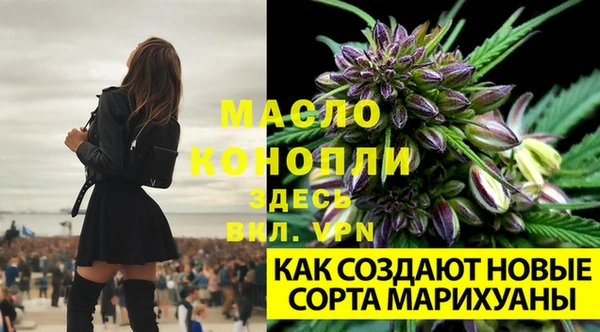 шишки Навашино