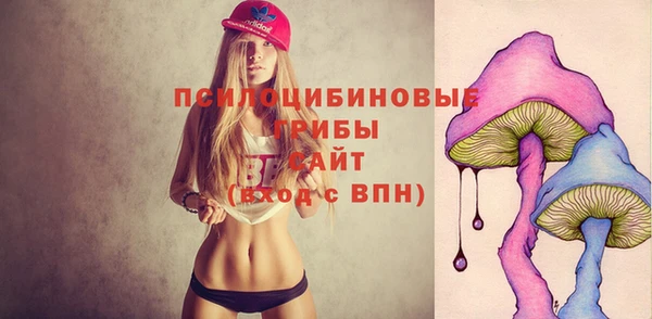 шишки Навашино
