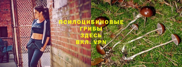 шишки Навашино