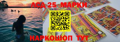 стаф Сланцы