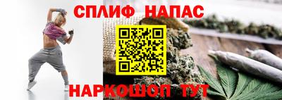 стаф Сланцы