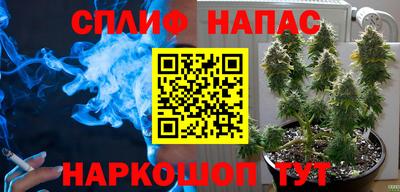стаф Сланцы