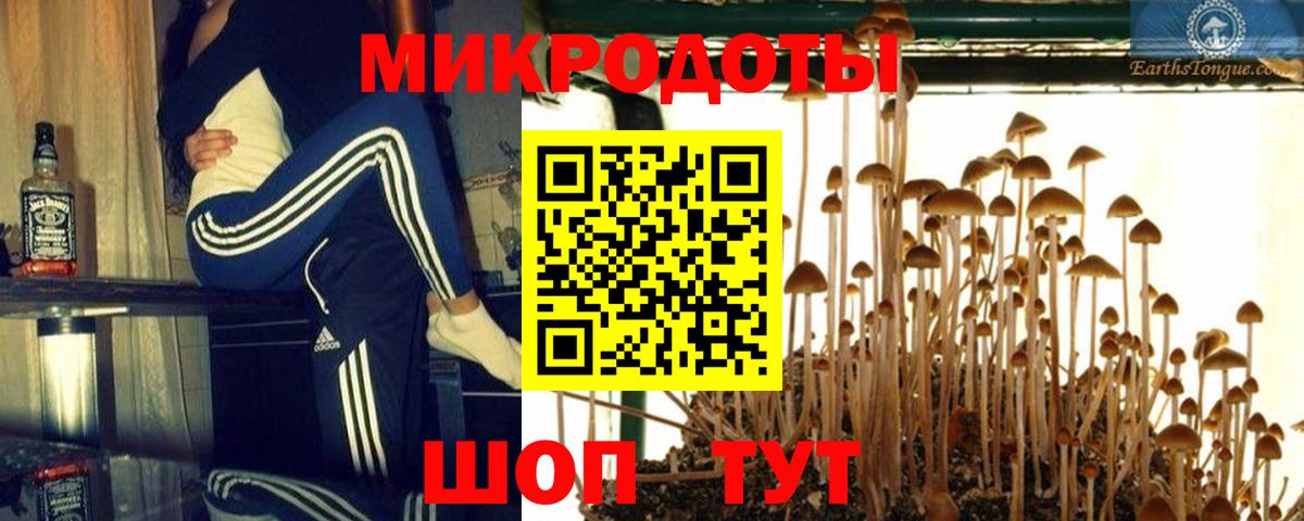 Галлюциногенные грибы мицелий  Вход с VPN  Новосибирск 